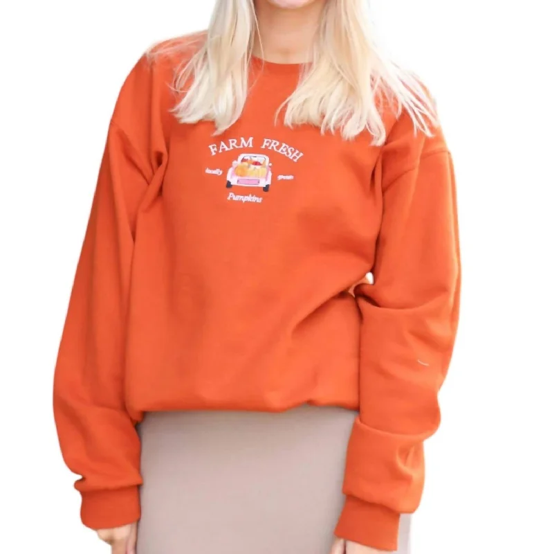 Farm Fresh Pumpkins Crewneck Sweater In Burnt Orange Wool Sweater Cotton Sweater Cashmere Sweater Farm Fresh Pumpkins Crewneck Sweater In Burnt Orange Wool Sweater Cotton Sweater Cashmere Sweater
